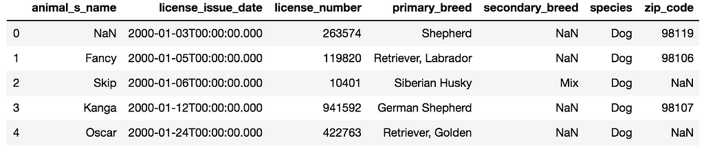 Table of Extracted Pet Licenses Table