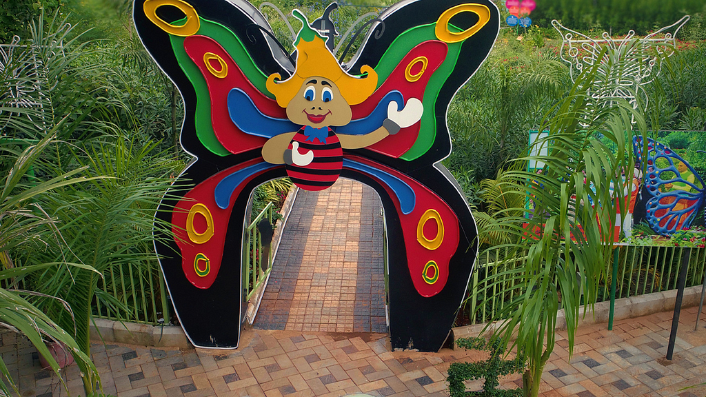 Cactus And Butterfly Garden