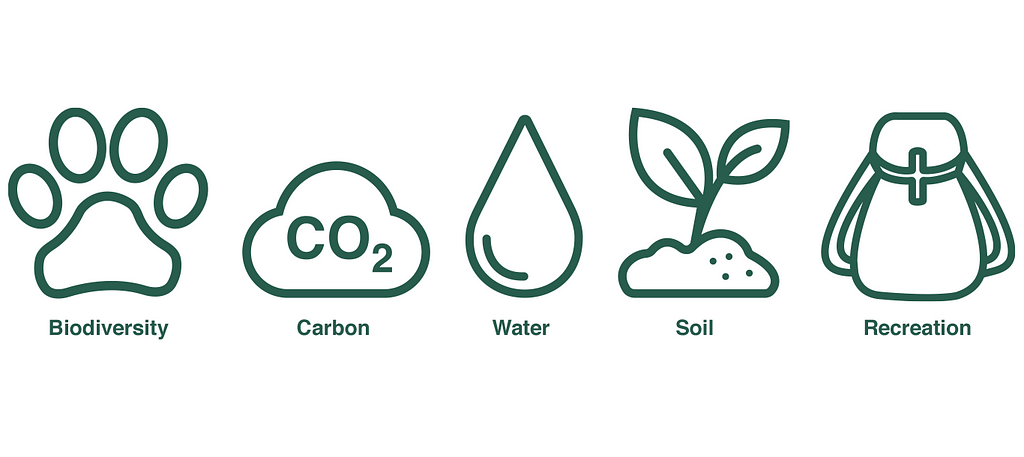 Types of ecosystem services. © FSC