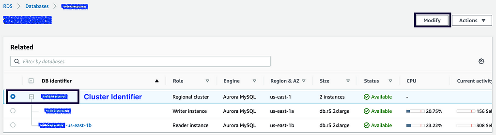 Aurora Cluster Identifier