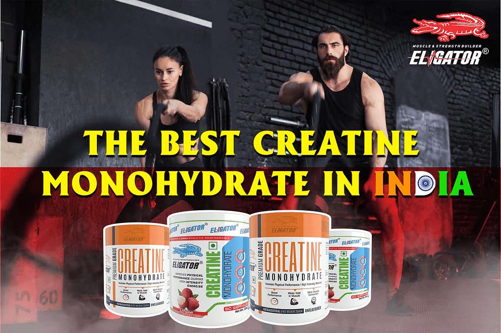 the best creatine monohydrate in india — Eligator Nutrition