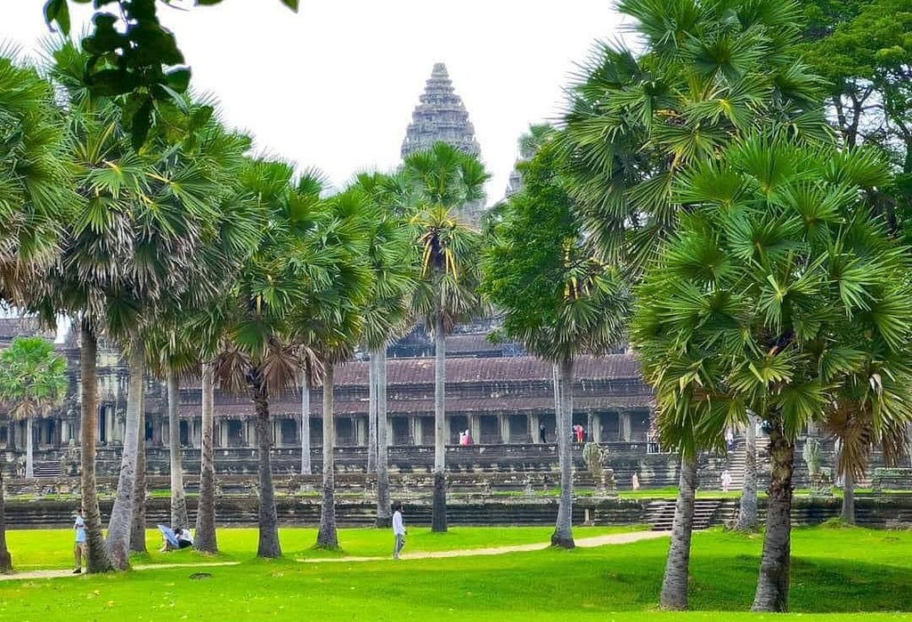 There are many trees in front of the temple