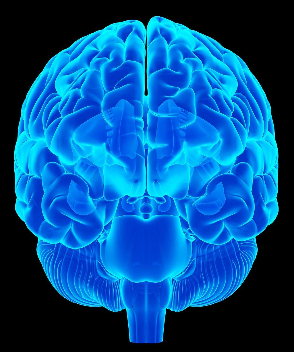 A picture of a transparent brain from the front,  showing the cortex and cerebellum.