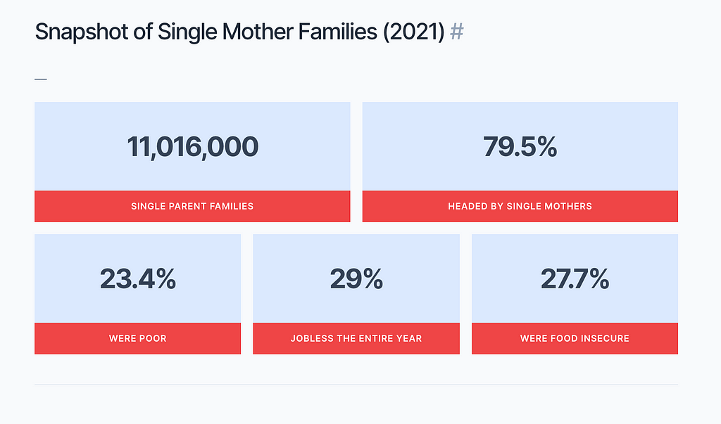 Snapshot of Single Mother Families (2021)