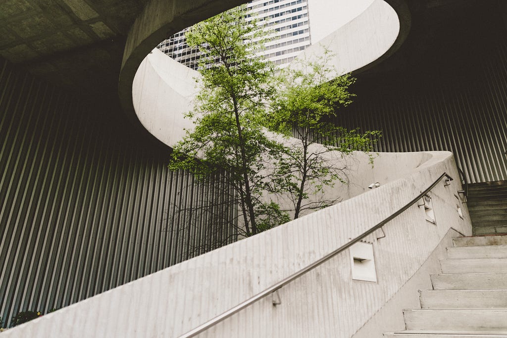 A spiral concrete staircase with a thin tree growing in the spiral and through an opening in the roof.