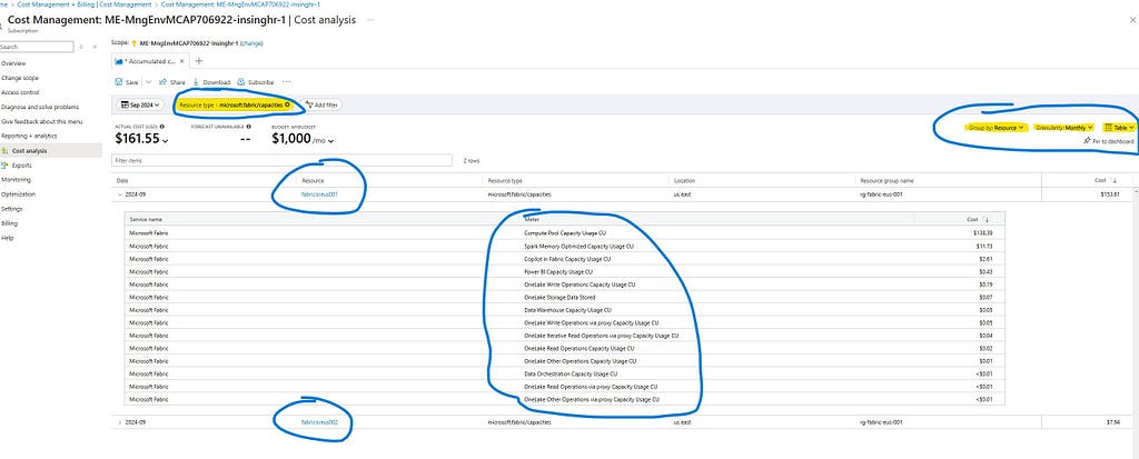 Costs Grouped by Fabric Resources with option to view breakdown by Meter