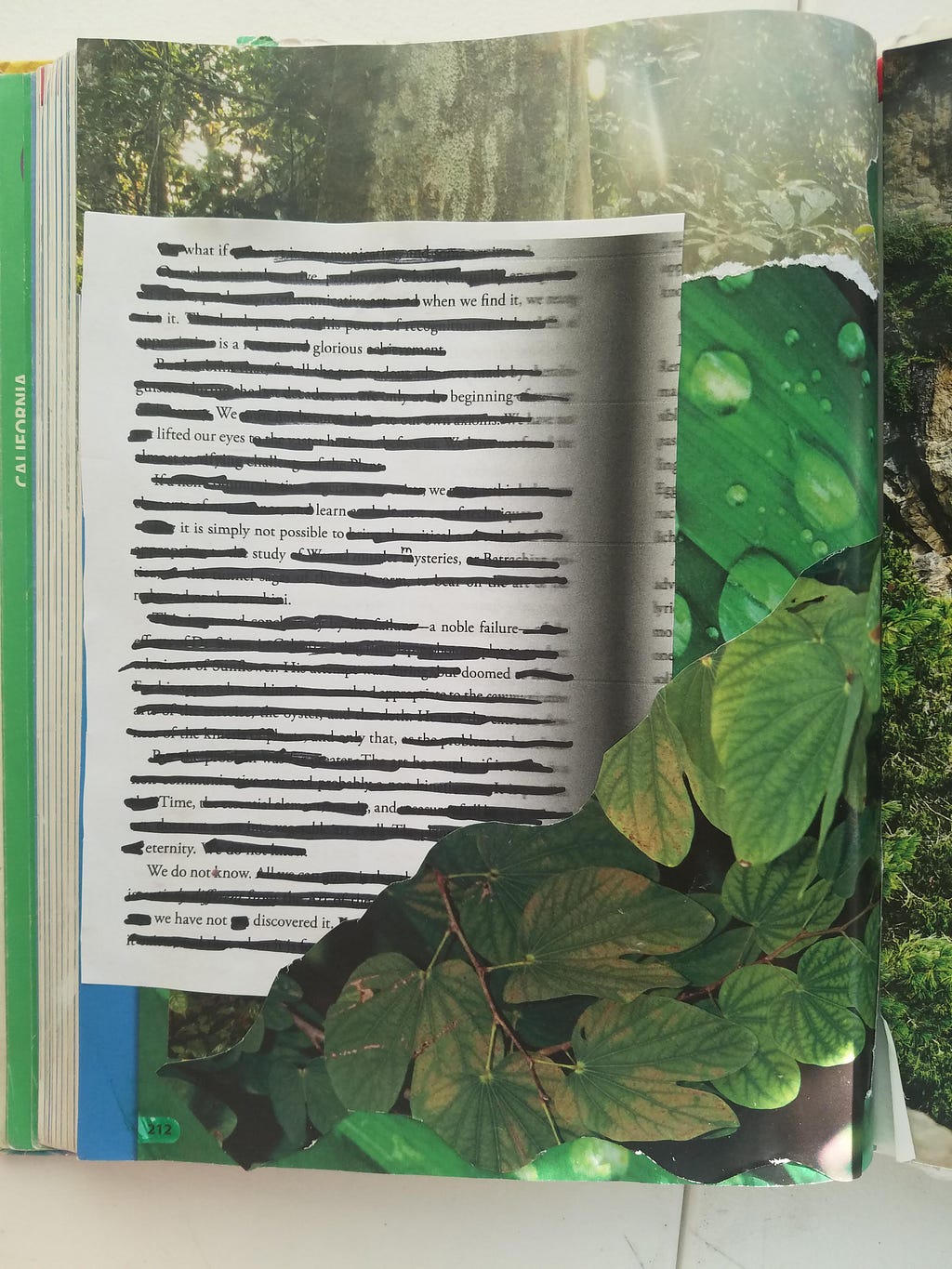 A blackout poem written on white paper with green pictures of leaves collaged around it.