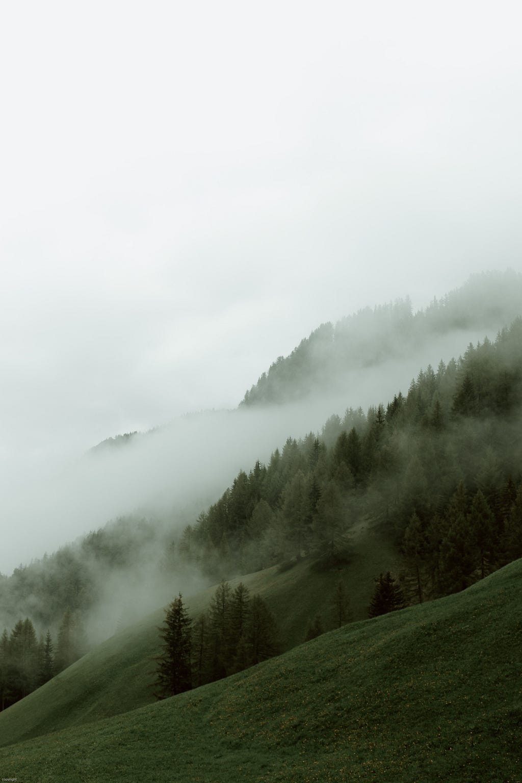 A picture of hill with green fields and green trees.