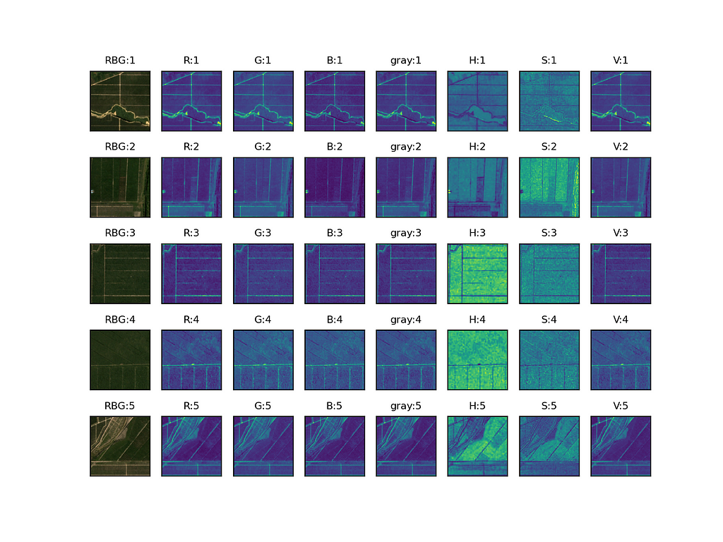 Several images that have oil palm plantations.