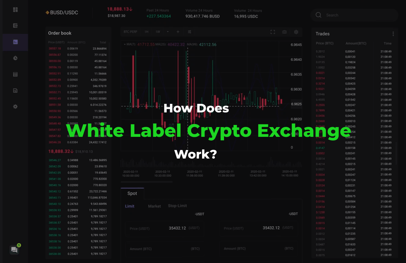 How Does White Label Crypto Exchange Work?