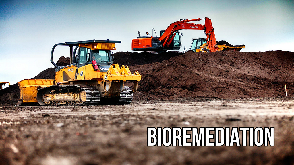 Understanding Bioremediation