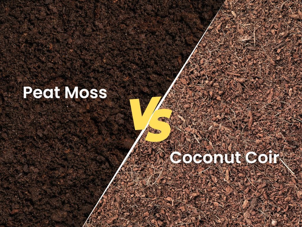 Coconut Coir vs Peat Moss