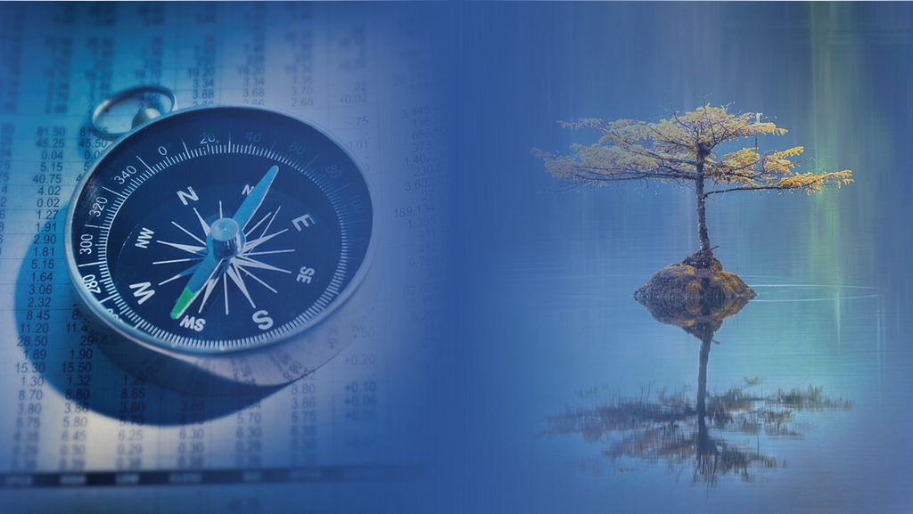 An image of a compass resting on a financial newspaper next to an image of a tree rising over a lake.