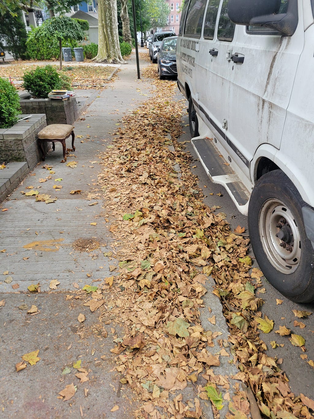 Looking down a sidewalk, the curb obscured with piles of dead leaves, July 22, 2022.