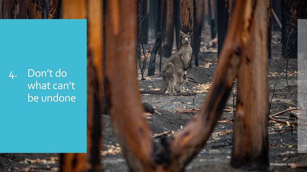 Kangaroo looks at camera from charred remains of forest after bush fire, with caption ‘Don’t do what can’t be undone’