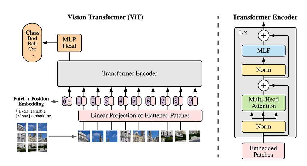 The ViT architecture.