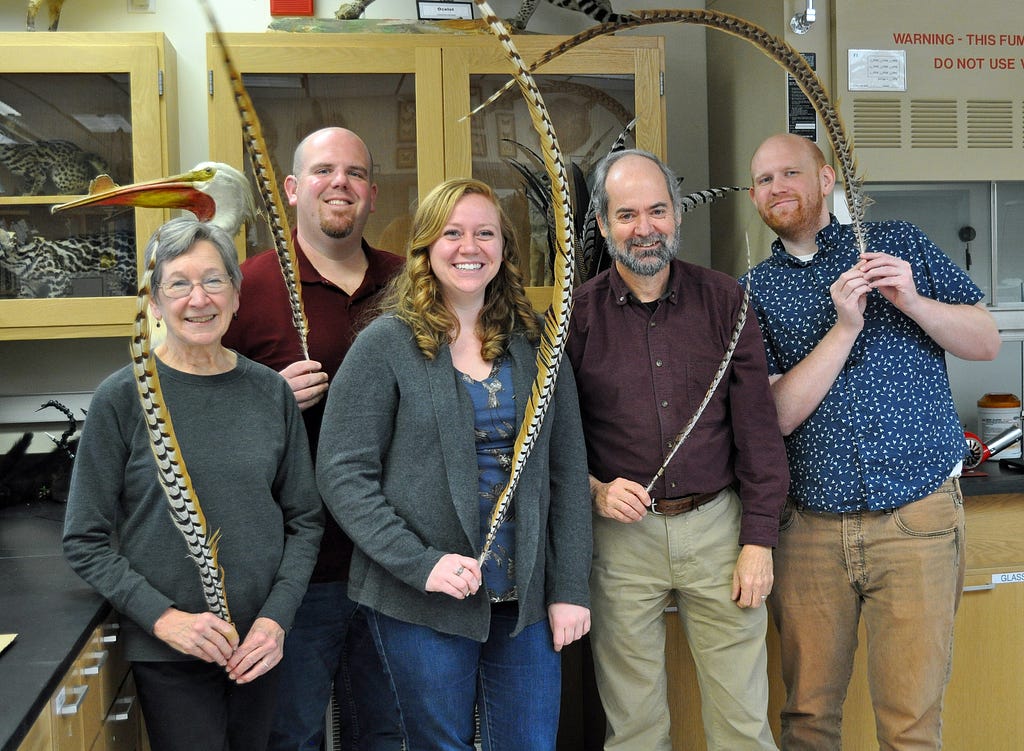 The feather atlas team who built a database of over 400 species represented by nearly 1,900 scanned images of flight feathers.