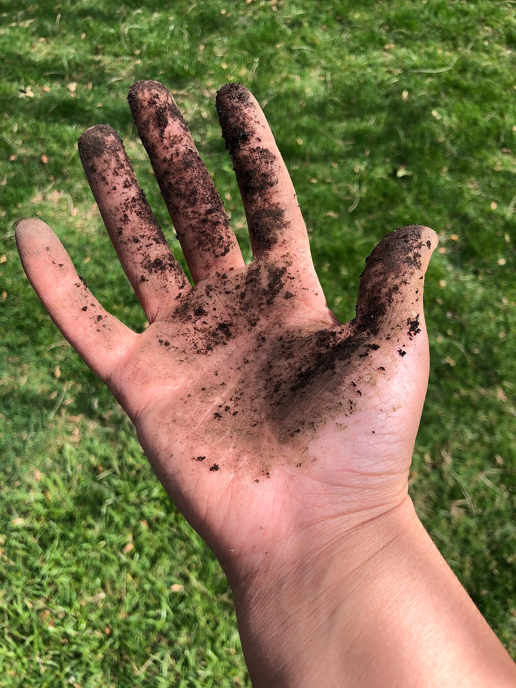 Image of a hand open with soil spread across it. There is grass in the background.