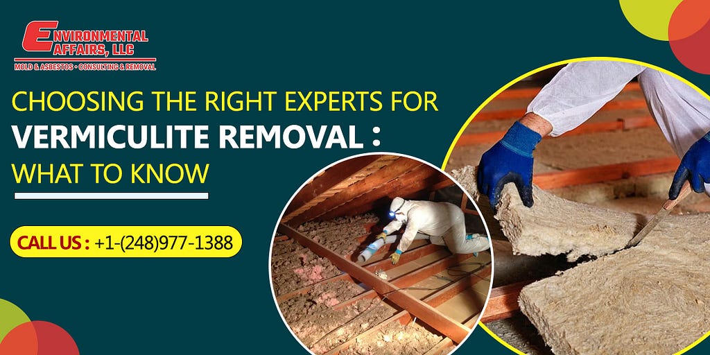 vermiculite removal