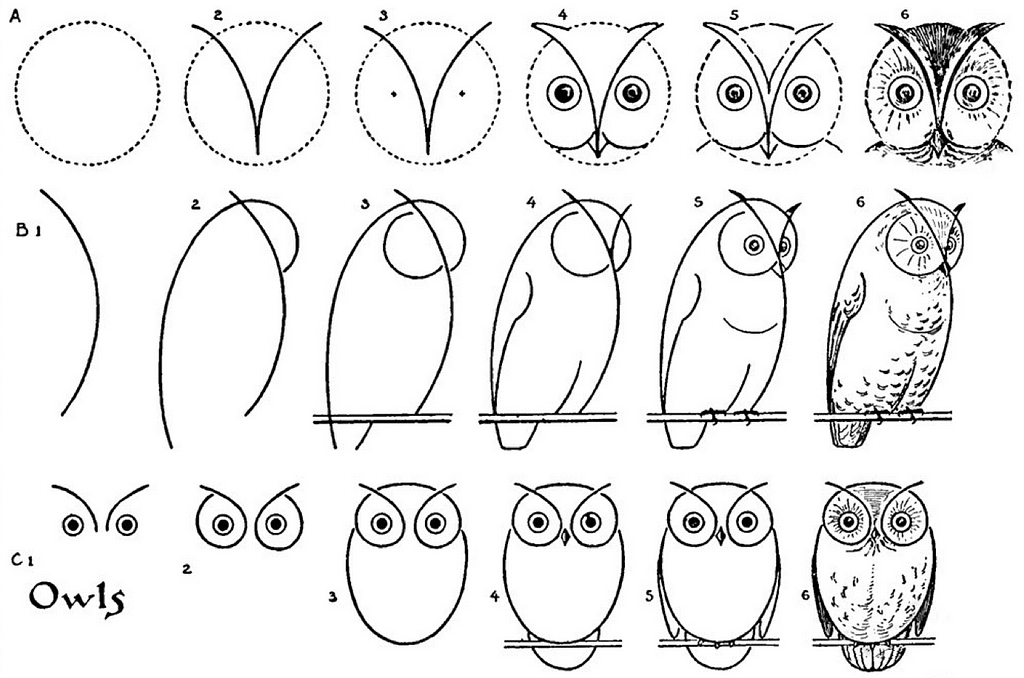 Tutorial on on how to draw an owl: step-by-step