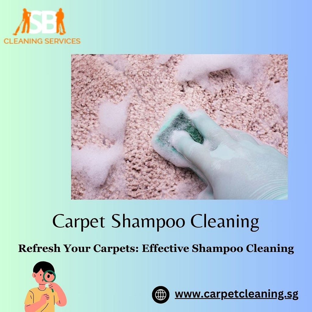 carpet shampoo cleaning