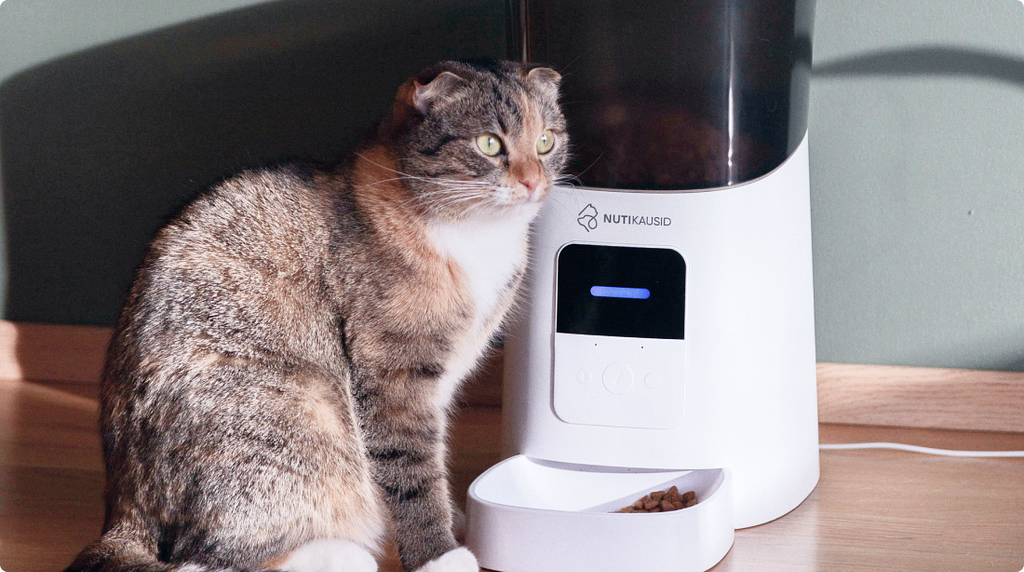 A tabby cat sitting next to a white app-connected automatic pet feeder on a wooden floor.