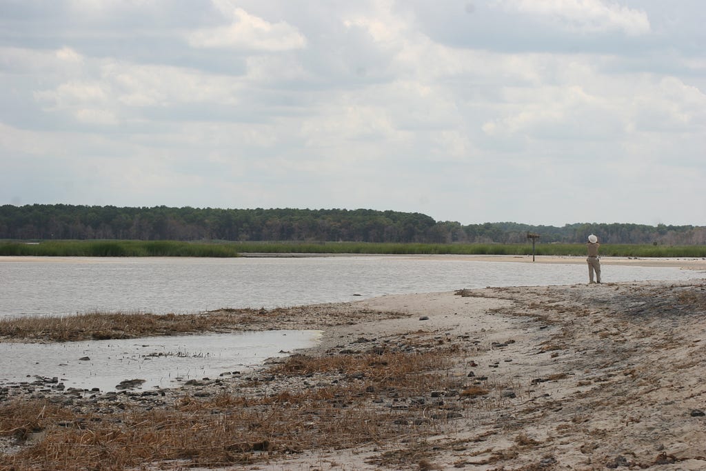 a view of someone on the vast marsh