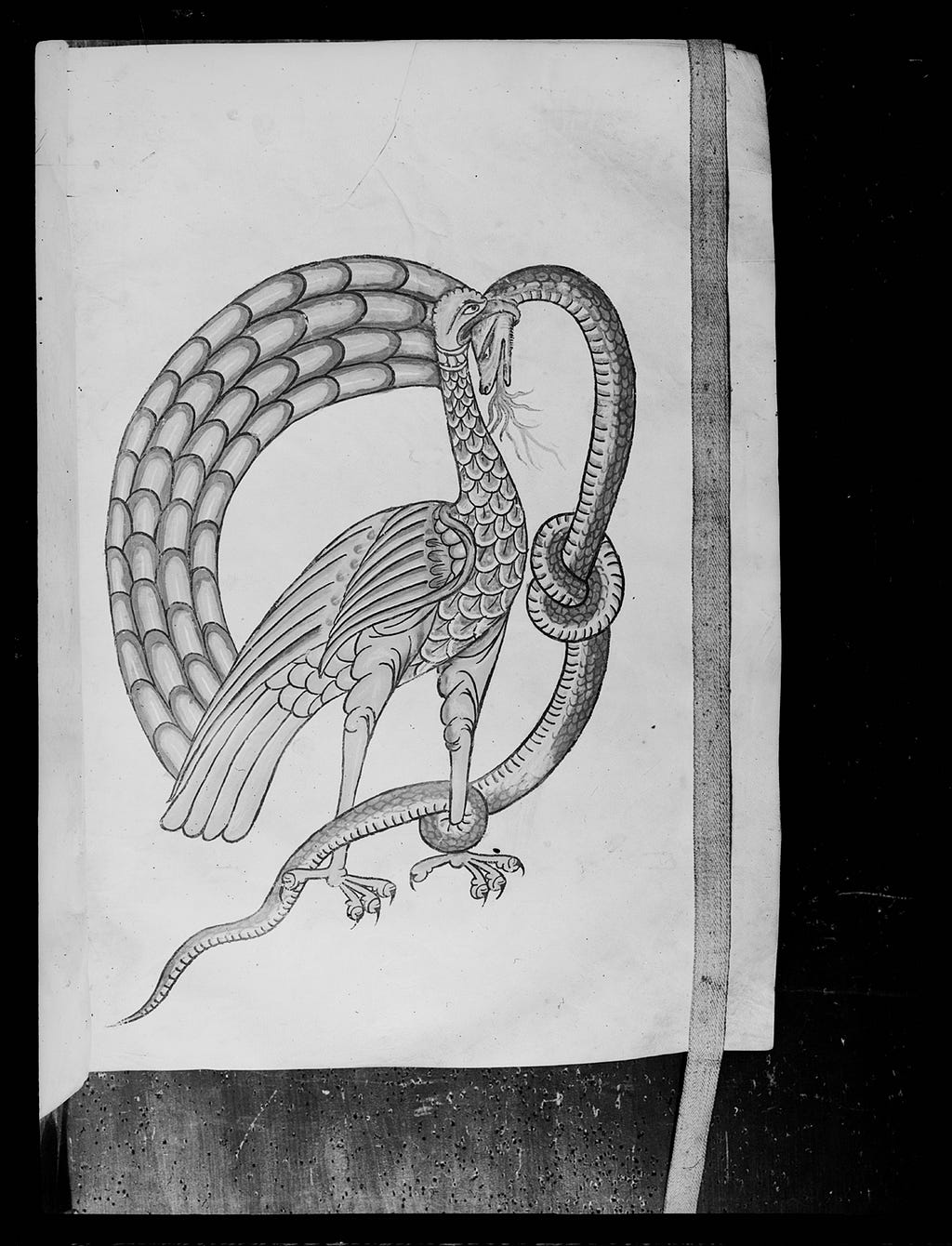 Black and white image of an illumination in which a bird is biting the head of a snake. The snake is knotted and twisted around its left leg.
