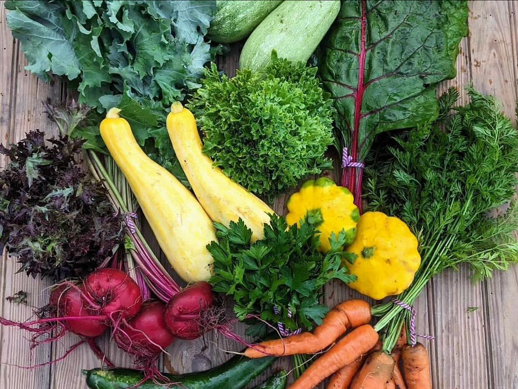Birds eye view of vegetable share on wood table. Pictured are zucchini, carrots, beets, herbs, swiss chard, and lettuce greens.