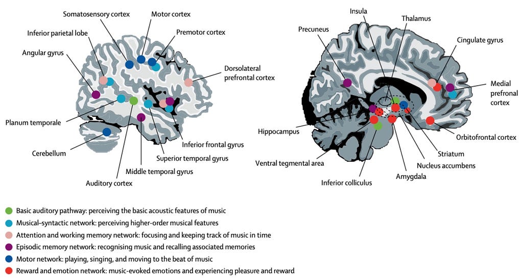 Figure illustrating key brain areas and networks involved in music processing.