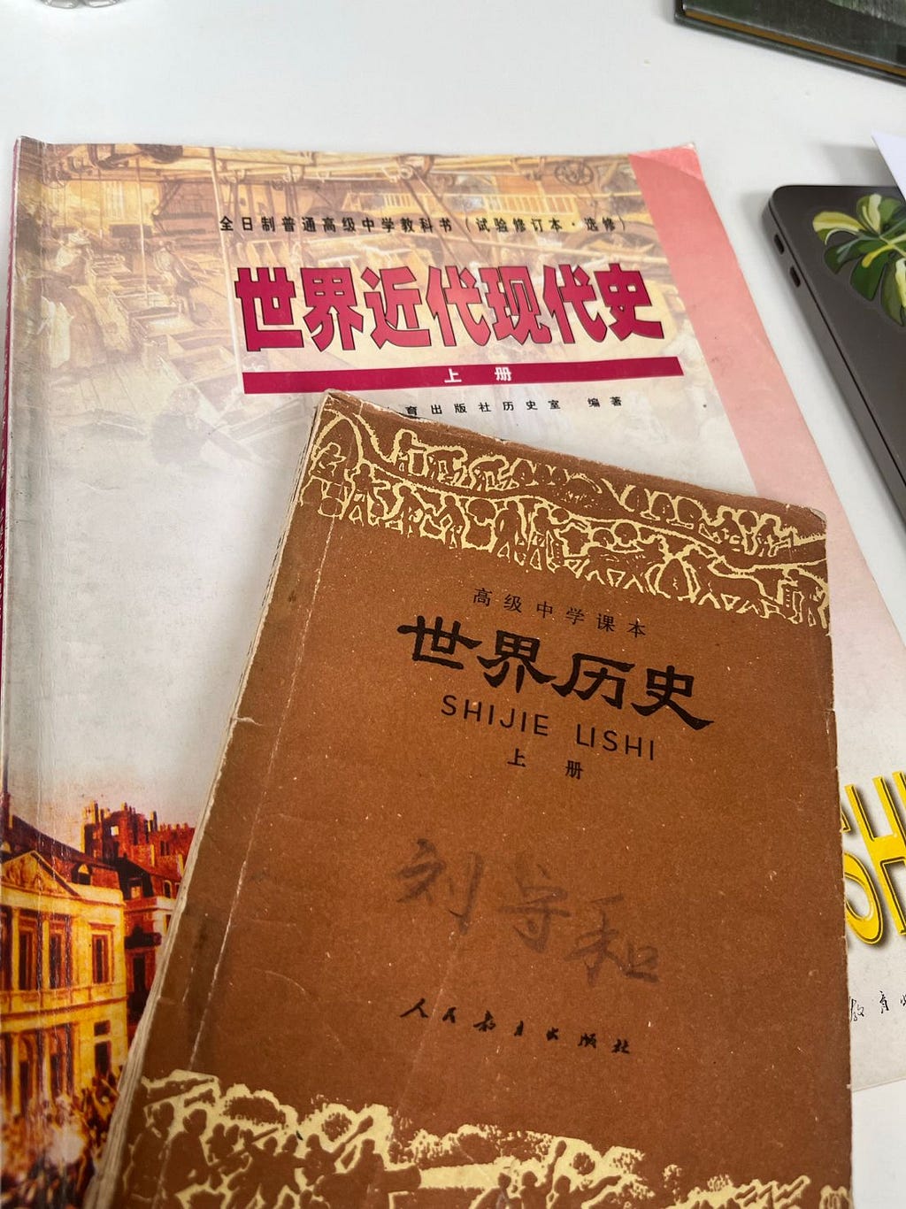 An photograph of two of the Chinese textbooks we studied in our seminar.
