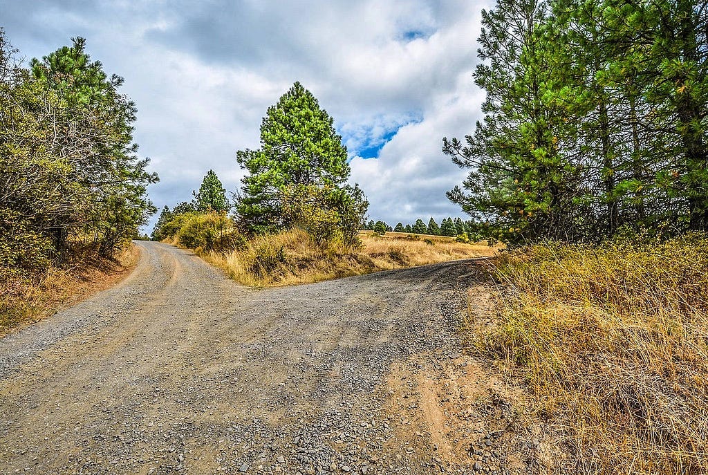photo shows a gravel road that splits or forks into 2 slightly different directions.
