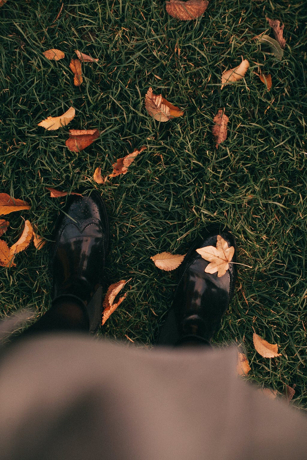 These leaves must belong to the neighbor. Source: Pexels — Lina Kivaka.