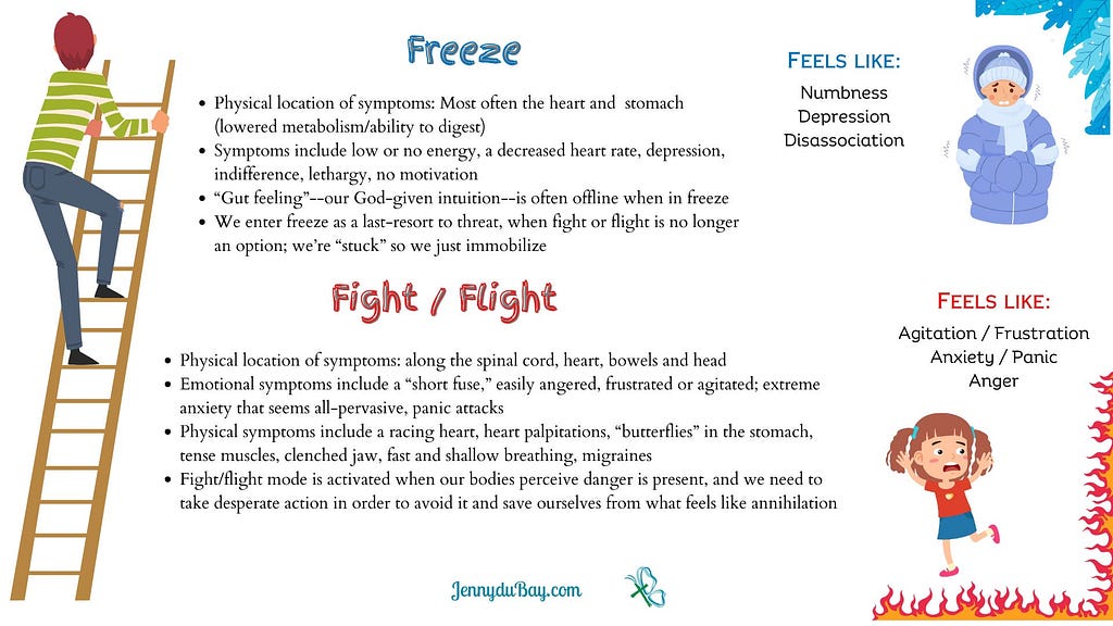 Fight Flight or Freeze Trauma Response