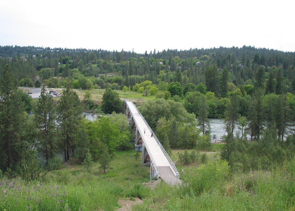 Photo of an elevated bridge running through a forest