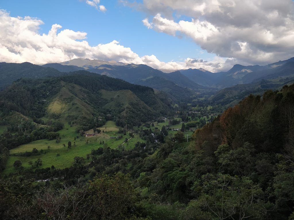 Original 5.6MB Image — Cocora Valley, Quindío Colombia.
