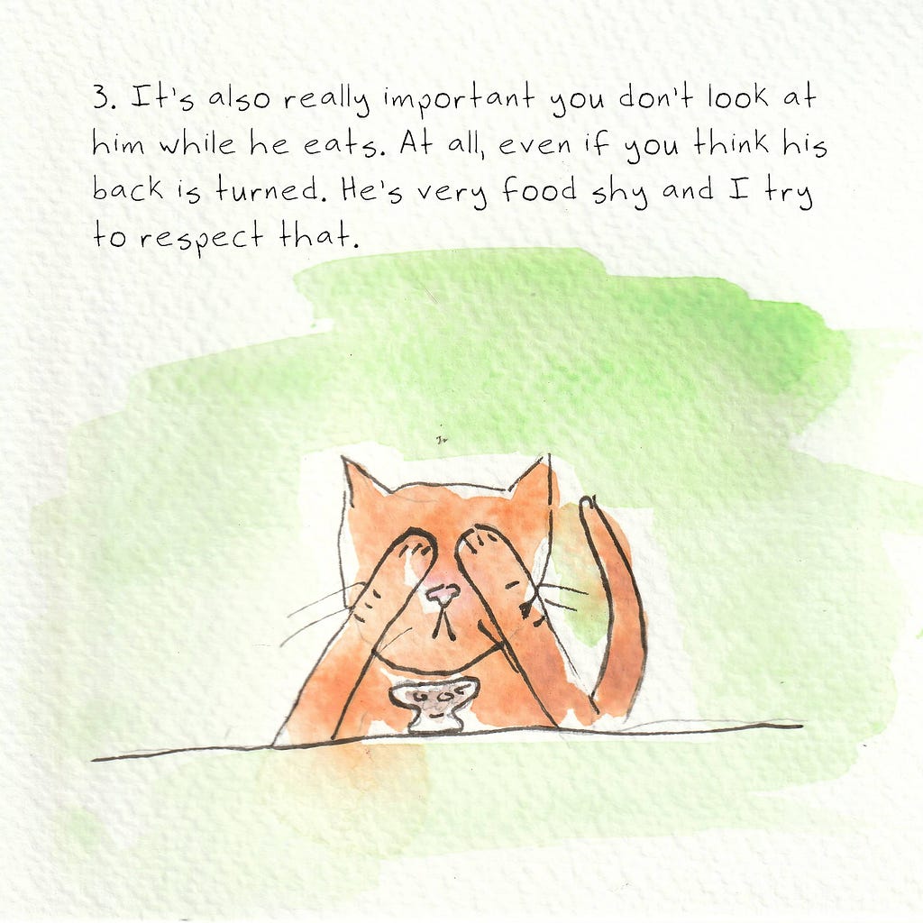 The orange cat sits with his paws covering his eyes with his food dish in front of him. Text reads: 3. It’s also really important you don’t look at him while he eats. At all, even if you think his back is turned. He’s very food shy and I try to respect that.