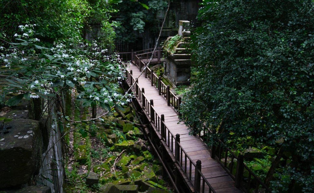 There is a lot of trees around the wooden bridge