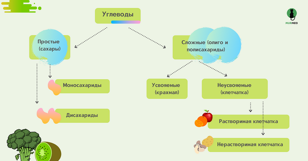 - Схематическая структура углеводов