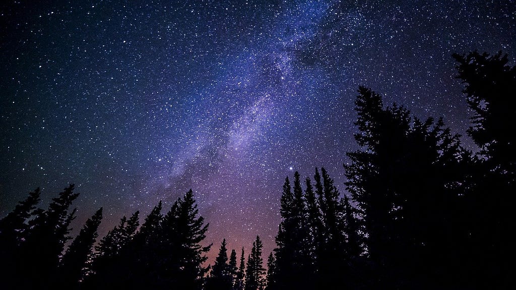 An image of the night sky, with the Milky Way as a faint ribbon of stars above the trees. Image by Free-Photos from Pixabay.