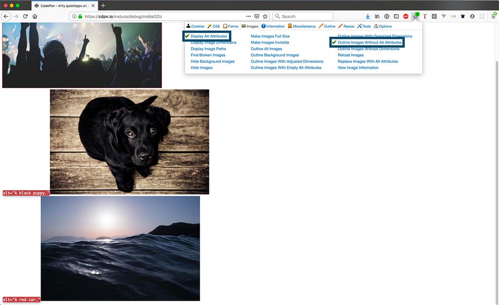 Раздел настроек изображений в панели интсруметов расширения Web Developer.