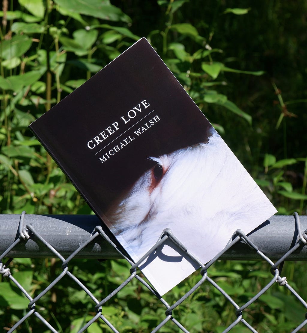 A book of poetry with a white horse on its cover is wedged in a chainlink fence. Beyond the fence is an overgrown field of wild plants in the background.