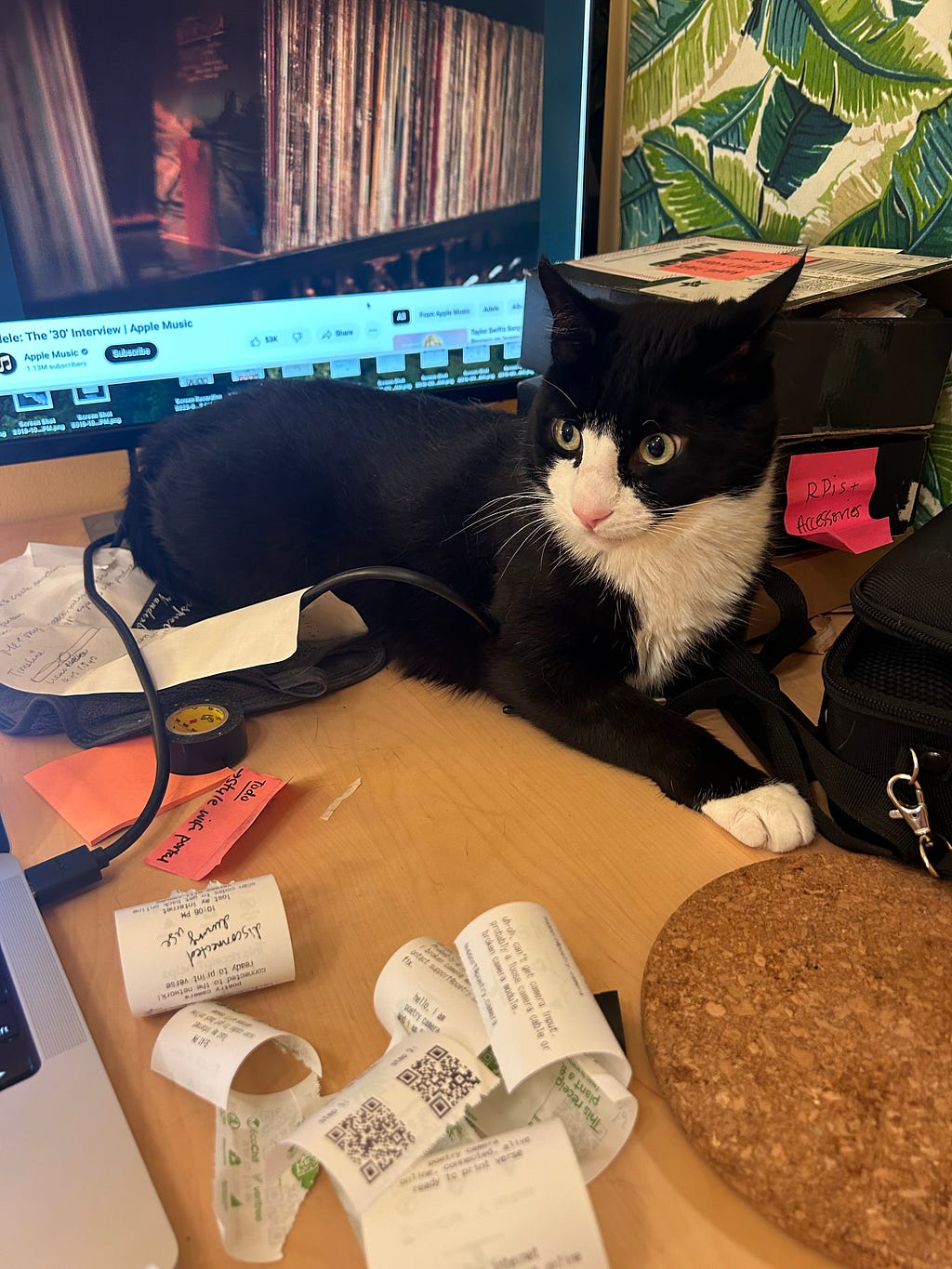 Tuxedo cat sitting on a desk in front of a monitor, surrounded by postits and pieces of paper.