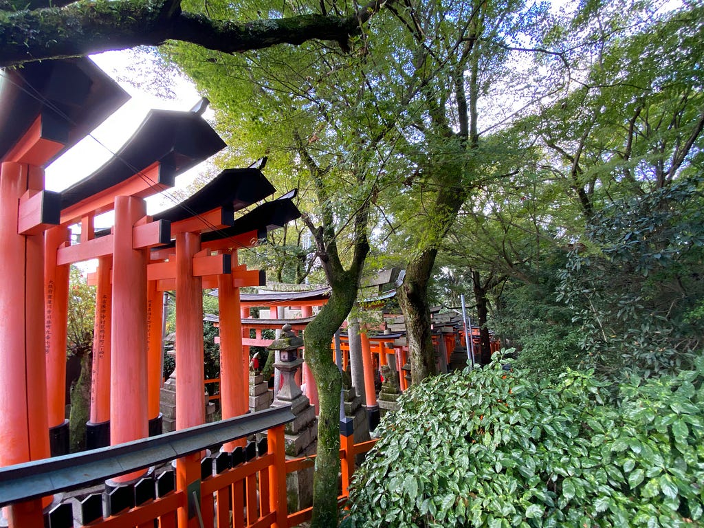 japanese orange shrine next to green trees and bushes