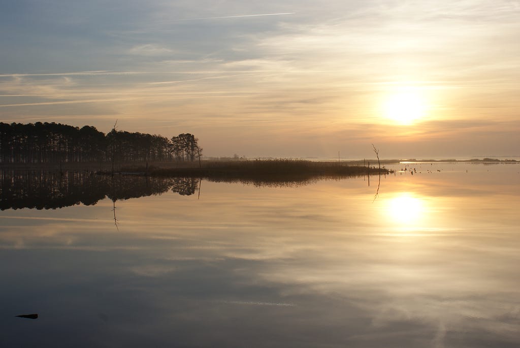 The sun sets on a snowless, early winter day in Blackwater National Wildlife Refuge. The open water of the Blackwater river is visible in the foreground, with the sun mirrored on the water. A stand of trees and marshland are visible on the horizon.