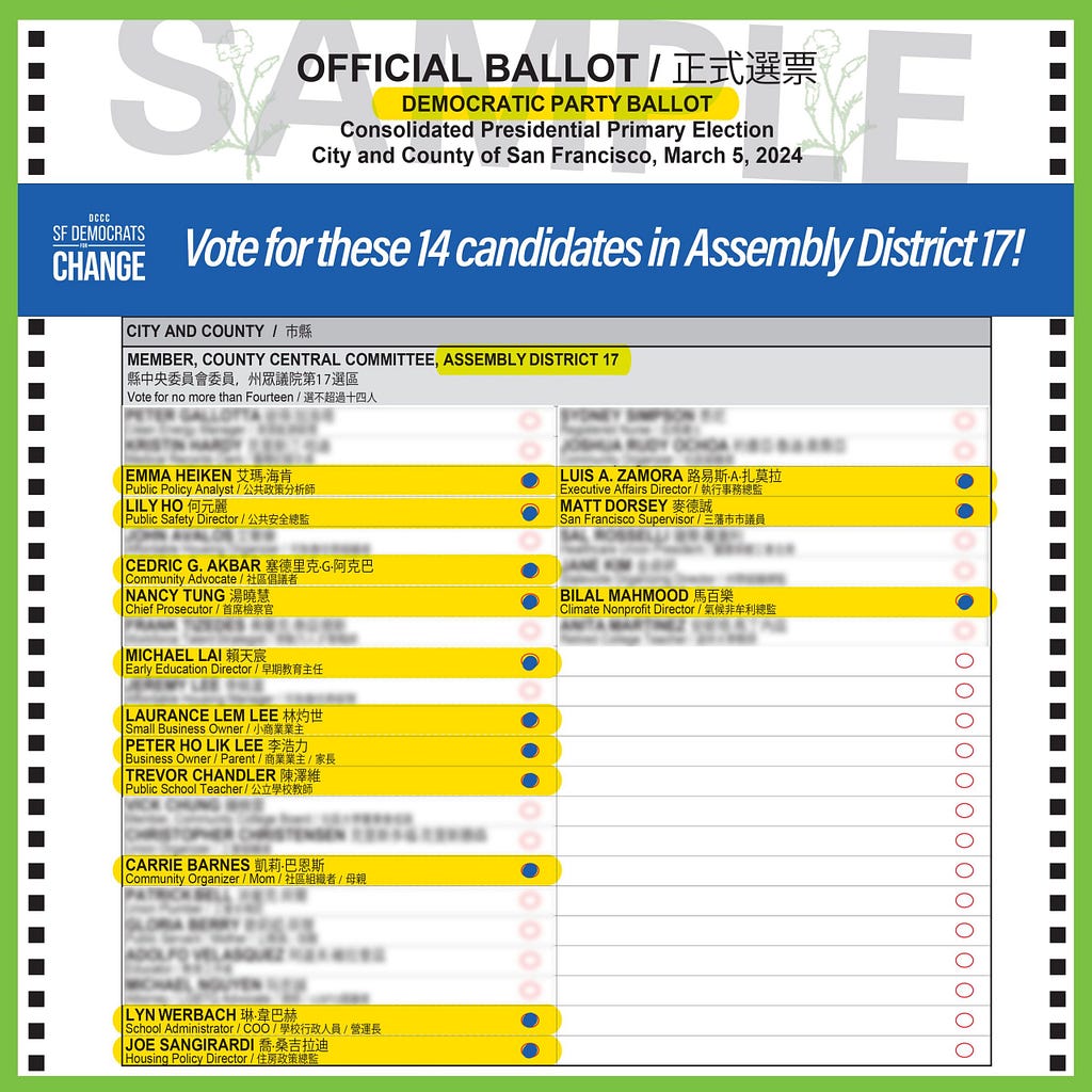 Sample ballot for Democratic Party voters in Assembly District 17 highlighting the candidates running with Mike Chen on the same slate (team)