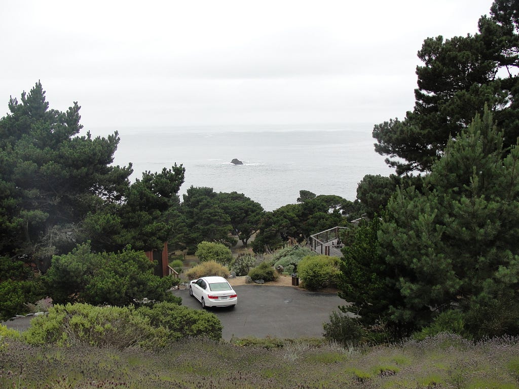 © 2023 Carole Terwilliger Meyers; view from room at Heritage House.