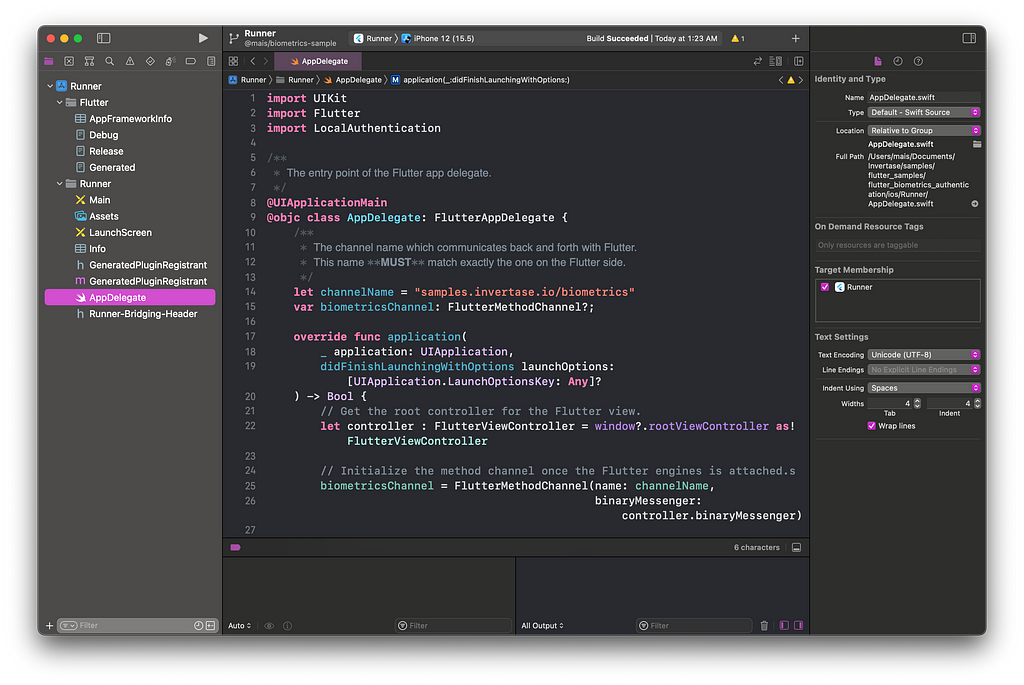 A screenshot from the AppDelegate.swift in the source code.