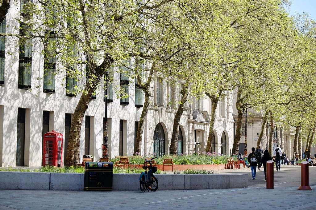 An eco-centric street in Alydwych, London. Courtesy of Wild Streets