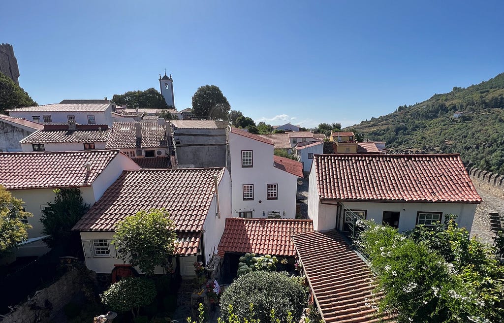 A beautifull roof tops with unique details on the background of sunny weather and green mountain